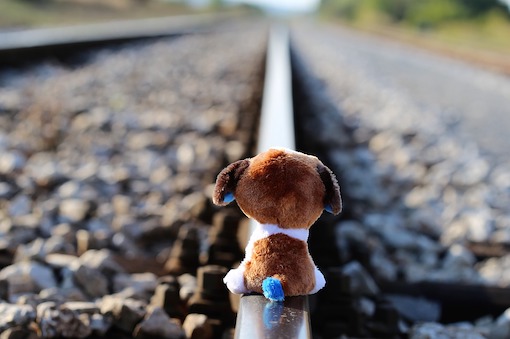 a view of the backside of a puppy doll sitting on a railroad track