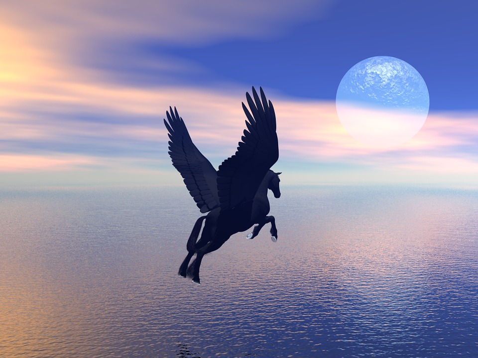 a sillouette of a flying horse against an ocean background with night sky
